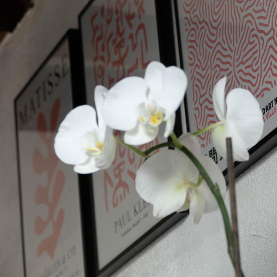 Suite Toussaint - Calme & Authentique Angers Bagian luar foto