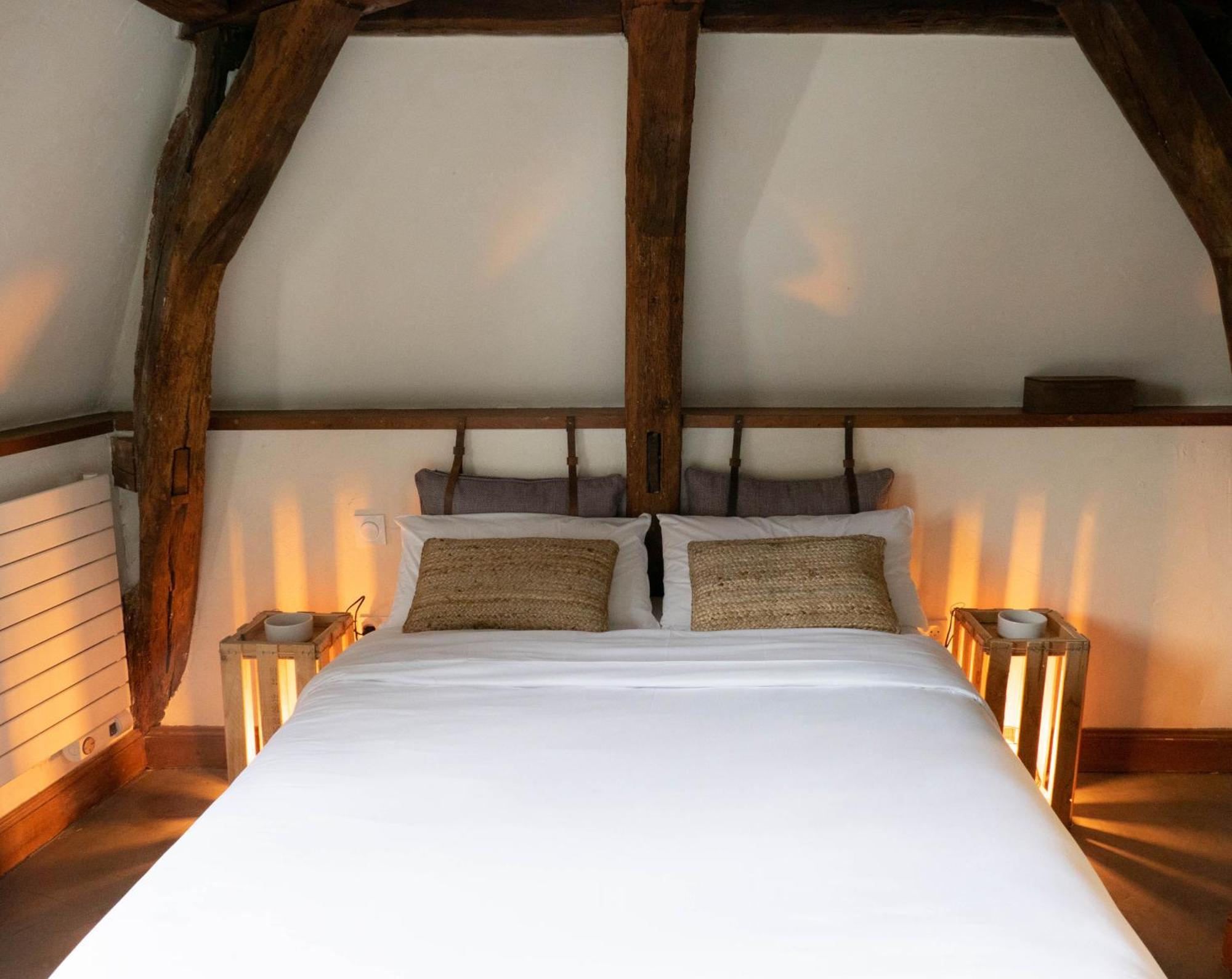 Suite Toussaint - Calme & Authentique Angers Bagian luar foto