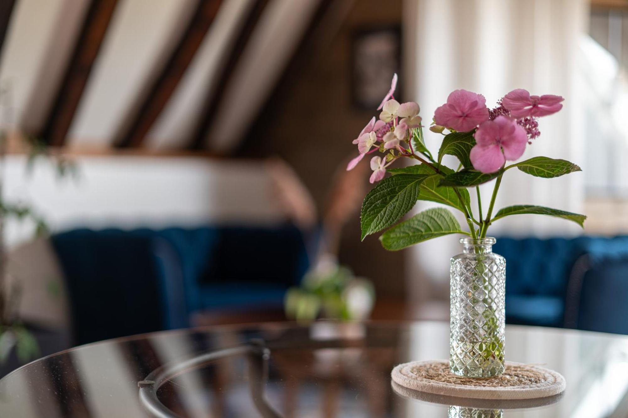 Suite Toussaint - Calme & Authentique Angers Bagian luar foto